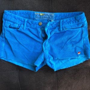 Aviator Nation Shorts